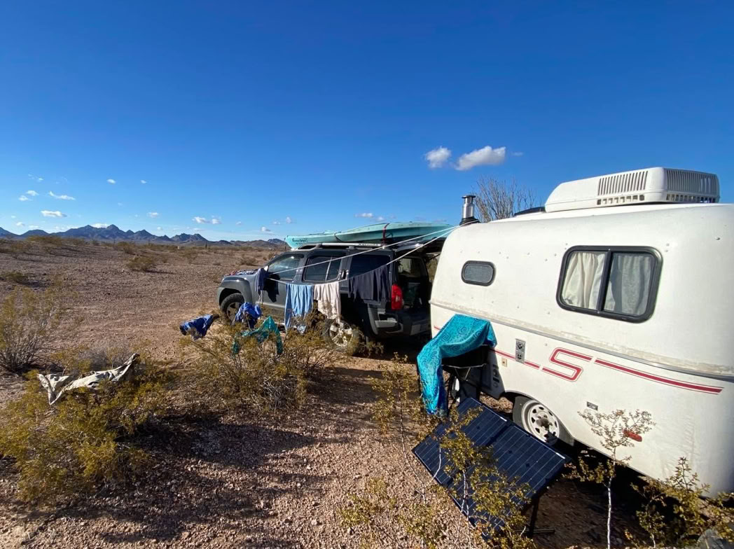 A road with various traffic signs, a bird flying above, and mountains in the background under a clear sky.