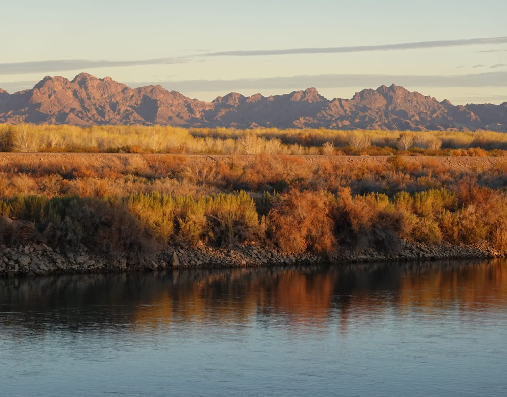 A road with various traffic signs, a bird flying above, and mountains in the background under a clear sky.